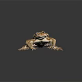 Orange Brown Toad With Blue Eyes And Rough Skin On Dark Background 3d model