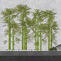 Tall Green Bamboo Plants In Decorative Garden With White Pebbles And Gray Stone