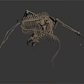 Prehistoric Animal Skeleton Featuring Long Tail Slender Limbs Small Head And Standing Predatory Stance