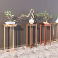 Four Wooden Plant Stands With Bonsai And Decorative Plants Against Gray Wall
