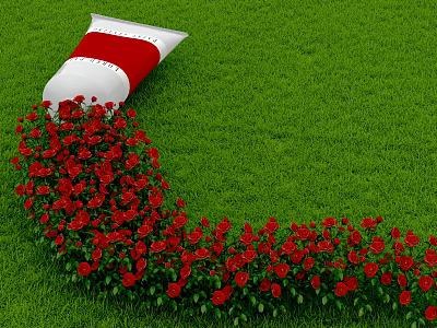 White And Red Tube Squeezes Red Roses On Green Grass Forming Path 3d model