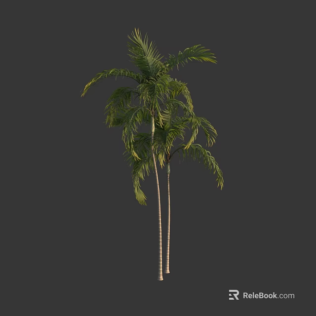 Two Tall Palm Trees With Lush Green Fronds And Straight Trunks 3d model 