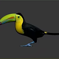 Tropical Toucan Bird with Vibrant Green Beak Yellow Chest Black Feathers and Blue Feet
