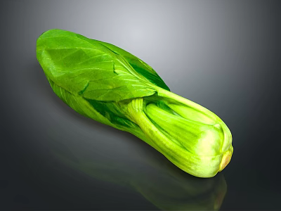 Fresh Green Leafy Vegetable For Healthy Organic Household Daily Use 3d model