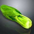 Fresh Green Leafy Vegetable For Healthy Organic Household Daily Use
