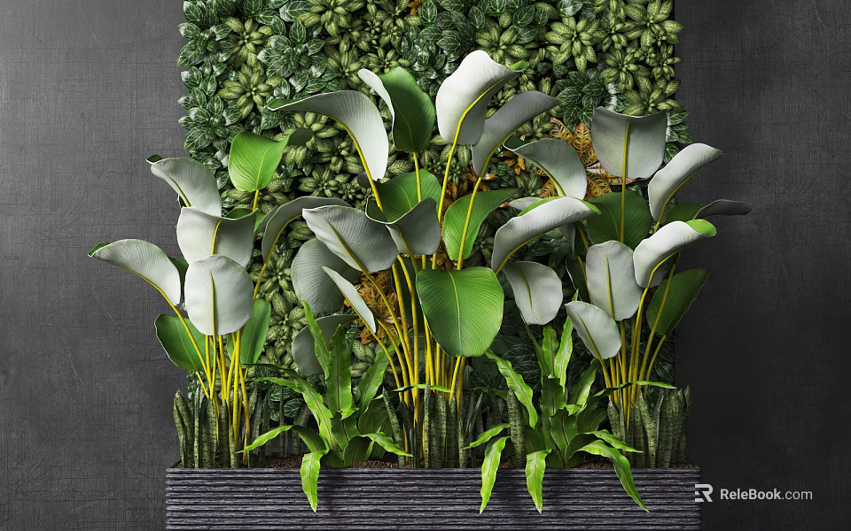 Bonsai Potted Plants With Green And White Leaves Yellow Stems Against Green Plant Wall 3d model 