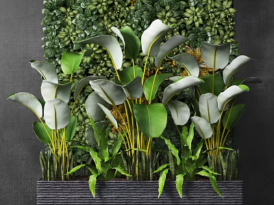 Bonsai Potted Plants With Green And White Leaves Yellow Stems Against Green Plant Wall 3d model