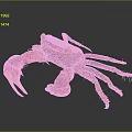 Vibrant Crab With Red Claws Brown Body And Yellow Eyes On Dark Background