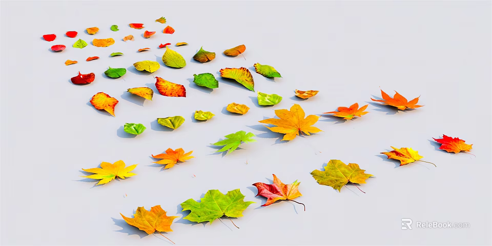 Vibrant Maple Leaves In Various Colors Scattered On White Background 3d model