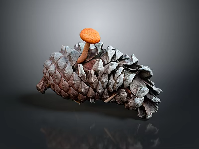 Fresh Organic Orange Edible Mushroom Growing On Natural Wild Pine Cone 3d model