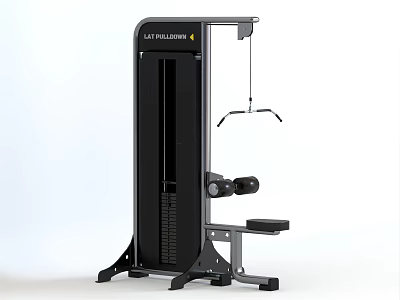 Life Fitness Black Silver Strength Training Machine Vertical Frame Cable Pulley Home Gym 3d model
