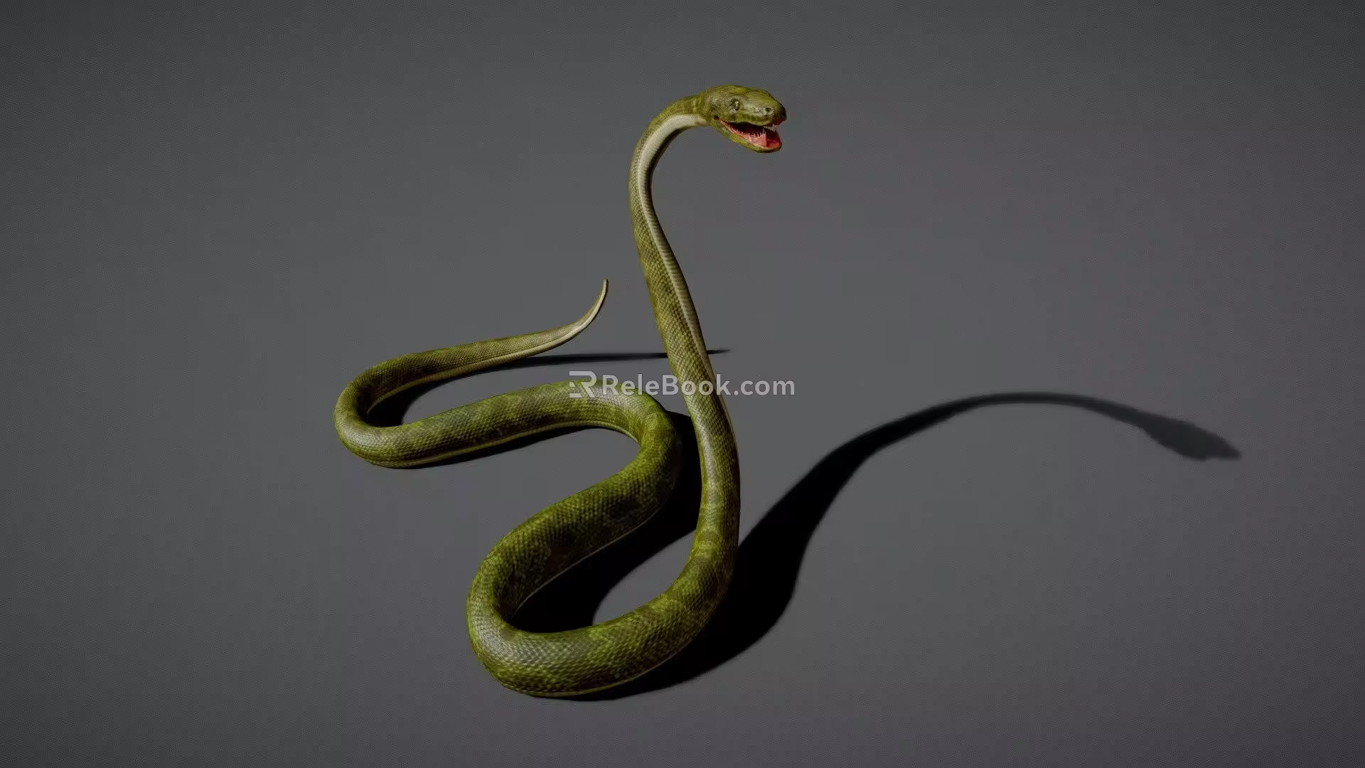 Snake with animation green python congaris snake bamboo leaf green snake pit snake flower snake venomous snake 3d model