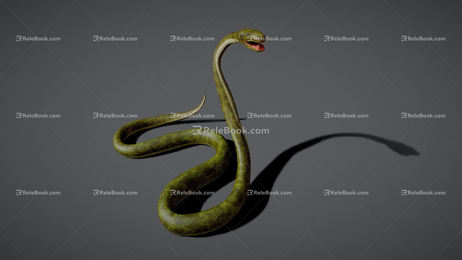 Snake with animation green python congaris snake bamboo leaf green snake pit snake flower snake venomous snake 3d model