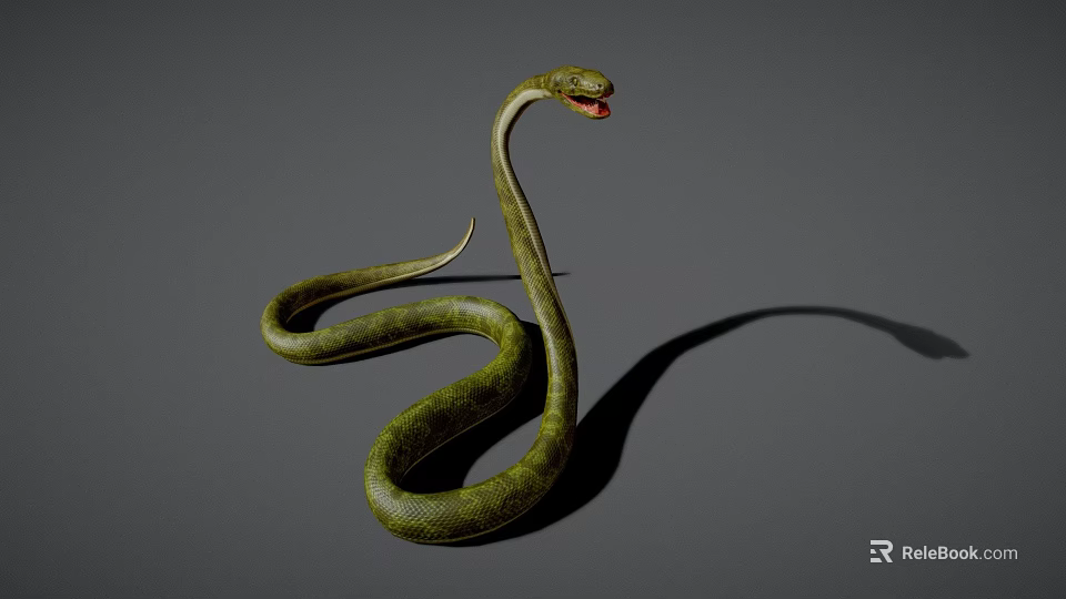 Green Reptile Snake With Coiled Body On Gray Background And Shadow 3d model 