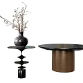 Coffee Table Side Table Low Table Round Table Coffee Table Decoration Table End View Table Plant Flower Vase Potted Plant 3d model