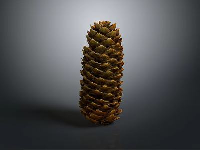 Brown Natural Pine Cone With Detailed Textured Scales On Gray Background 3d model