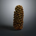 Brown Natural Pine Cone With Detailed Textured Scales On Gray Background