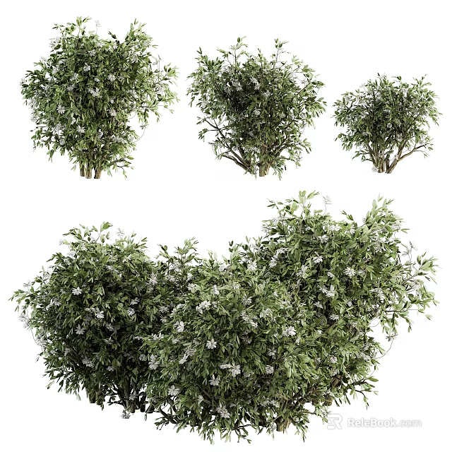 Lush Green Garden Shrubs With Dense Foliage And White Blossoms In Various Sizes 3d model 