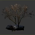 Cartoon Scene Featuring Delicate Light Brown Branches Small Leaves And Blue Stones