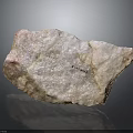Petrified Stone With Natural Texture Rough Surface And Geological Specimen