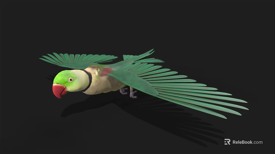 Green Parrot With Spread Green Wings And Red Beak On Black Background 3d model 