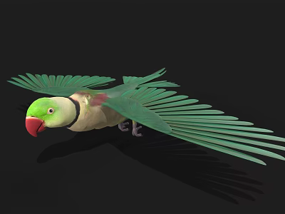 Green Parrot With Spread Green Wings And Red Beak On Black Background 3d model