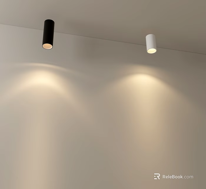 Modern Black And White Downlights Spotlights Ceiling Mounted Illuminating Wall 3d model