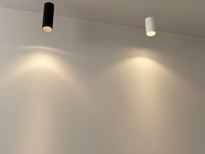 Modern Black And White Downlights Spotlights Ceiling Mounted Illuminating Wall 3d model