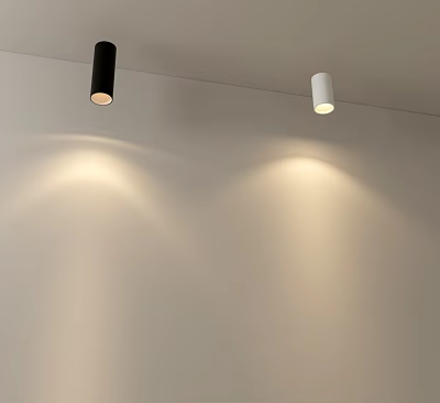 Modern Black And White Downlights Spotlights Ceiling Mounted Illuminating Wall 3d model