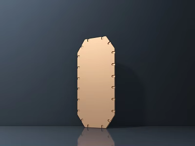 Public Facility Brown Shield Shaped Signage With Edge Clips On Dark Background And Reflection 3d model