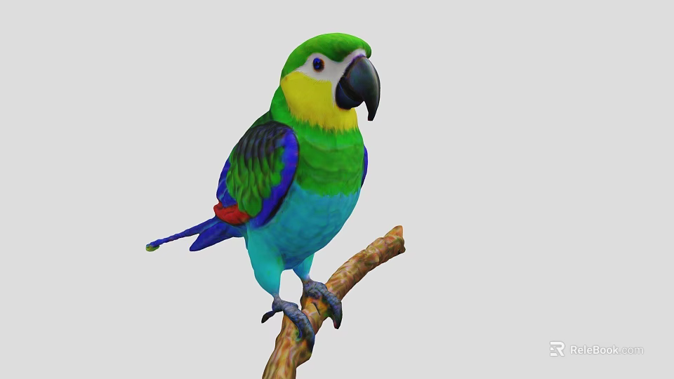 Colorful Parrot with Green Yellow Blue and Red Feathers Perched on a Branch 3d model 