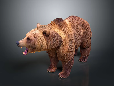 Realistic Brown Bear Model With Open Mouth And Thick Brown Fur Standing 3d model