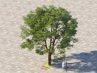 Mature Arbor With Lush Green Foliage On Paved Ground And Circular Lawn Base 3d model