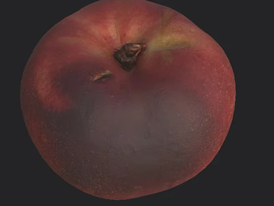 Fresh Ripe Peach With Red Brown Skin And Glossy Surface Texture 3d model