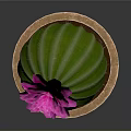 Vibrant Green Round Cactus with Pink Flower in Decorative Brown Terracotta Pot