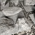 Modern Stone Pebbles Landscape 3d model