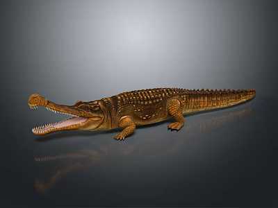 Realistic 3D Crocodile Model with Open Mouth and Brown Skin Texture on Gray Background 3d model