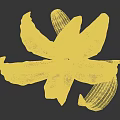 White Lilies In Different Shapes With Stems And Leaves On Black Background