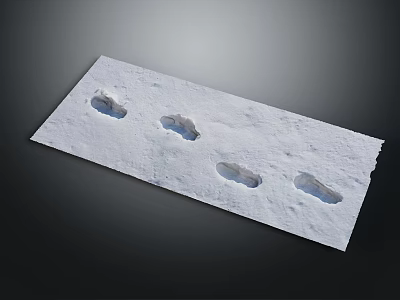 Snowy Terrain With Four Fresh Footprints On White Snow Surface 3d model