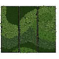 Vertical Living Plant Wall with Multiple Green Panels and Lush Foliage