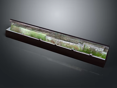 Long Rectangular Container With Miniature Ecosystem Green Plants And Textured Zones 3d model