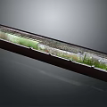 Long Rectangular Container With Miniature Ecosystem Green Plants And Textured Zones