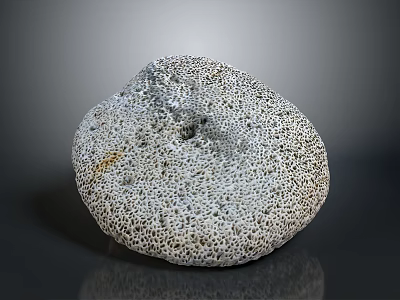 Porous Coral Aquatic Animal With Intricate Structure In Marine Environment 3d model