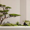 Indoor Landscape Design With Pine Tree Rocks Moss And Ferns Against Striped Wall