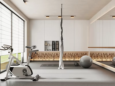 Modern Recreation Room Interior With Exercise Bike Yoga Ball And Large Mirrors 3d model