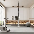 Modern Recreation Room Interior With Exercise Bike Yoga Ball And Large Mirrors