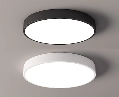 Modern Ceiling Lamp Round Ceiling Lamp 3d model Modern Ceiling Lamp Round Ceiling Lamp 3d model