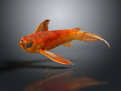 Realistic Orange Goldfish Decorative Figurine With 3D Rendered Reflective Surface On Dark Background 3d model