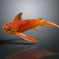 Realistic Orange Goldfish Decorative Figurine With 3D Rendered Reflective Surface On Dark Background 3d model