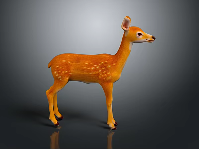 Orange Fawn with White Spots Standing on Dark Background with Reflection 3d model